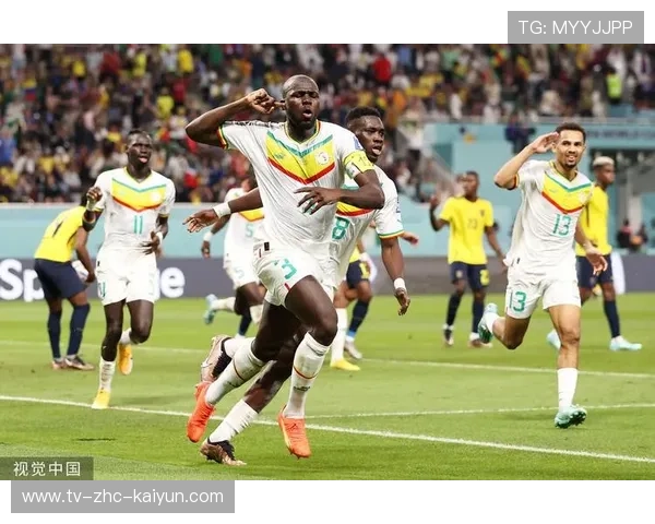 塞内加尔体育大会取得丰收，塞内加尔运动员